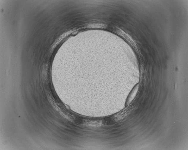 X0000085730155200704131628