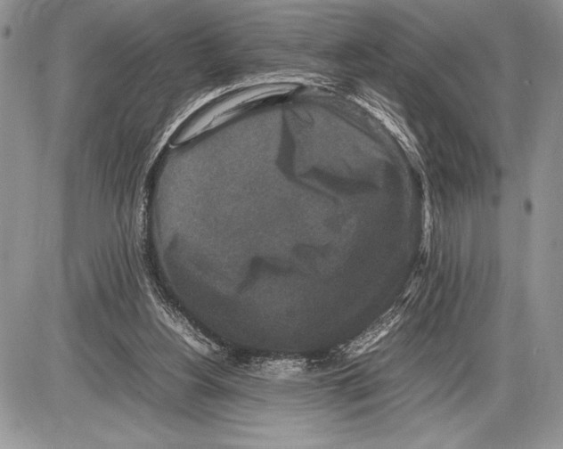 X0000085730156200704131628