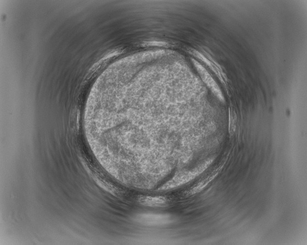 X0000085730157200704131628