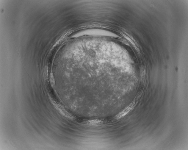 X0000085730158200704131628