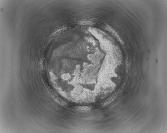 X0000085730161200704131628