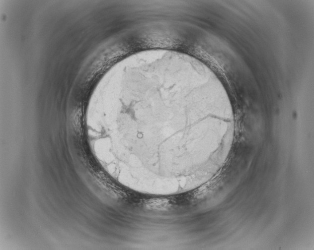 X0000085730162200704131628