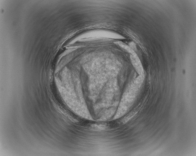 X0000085730164200704131628