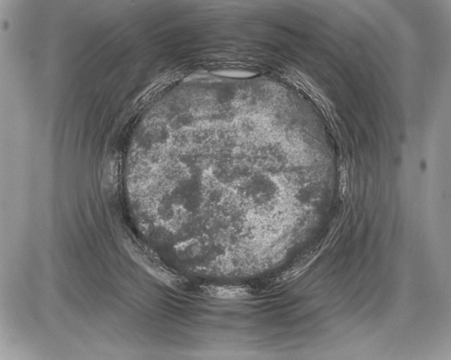 X0000085730165200704131628