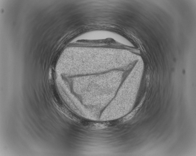 X0000085730166200704131628