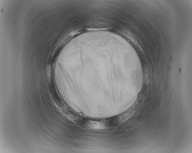 X0000085730167200704131628