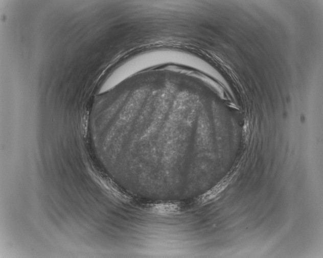 X0000085730168200704131628