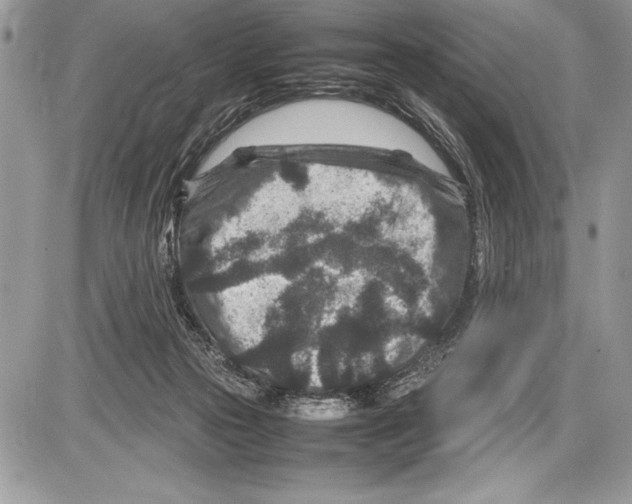 X0000085730169200704131628