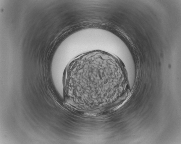 X0000085730170200704131628