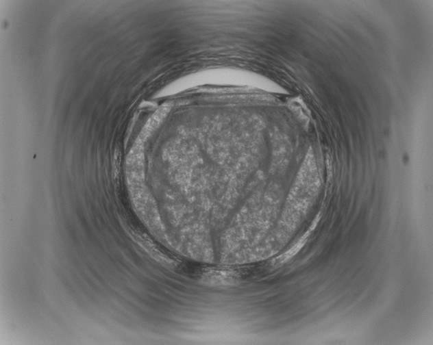 X0000085730174200704131628