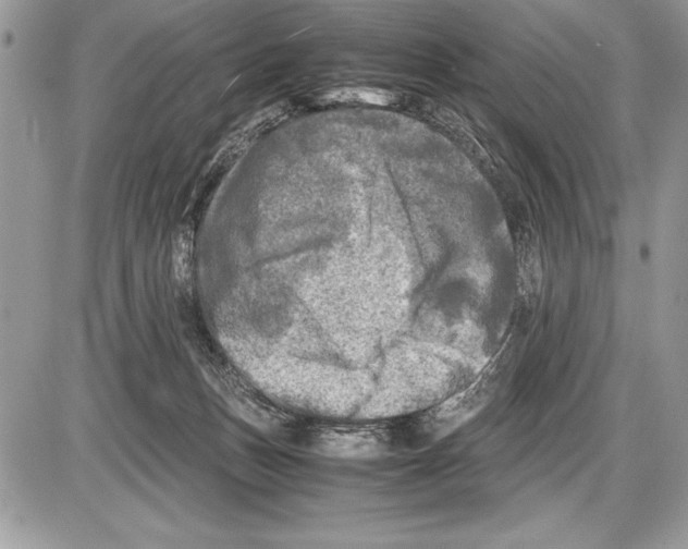 X0000085730175200704131628