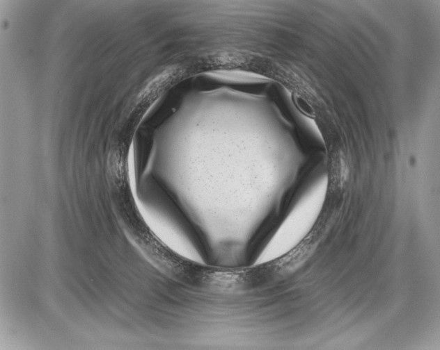 X0000085730176200704131628