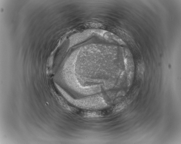 X0000085730177200704131628