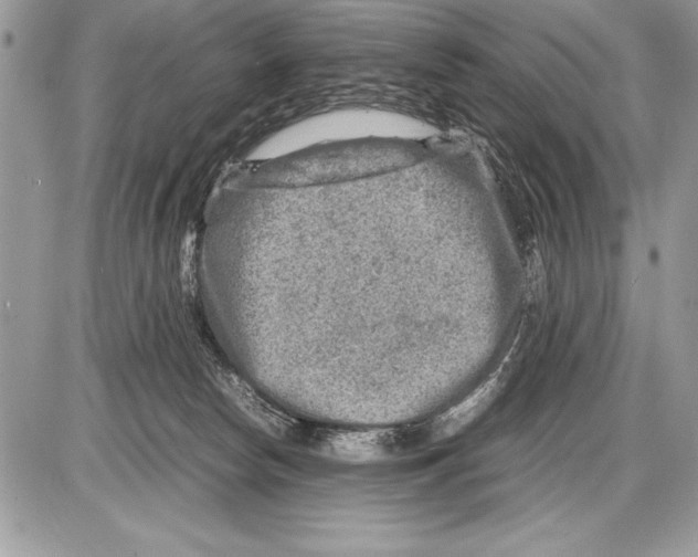 X0000085730178200704131628