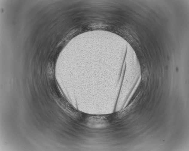 X0000085730179200704131628