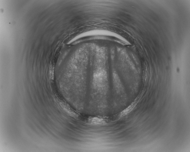 X0000085730180200704131628