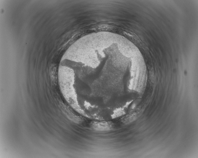 X0000085730181200704131628