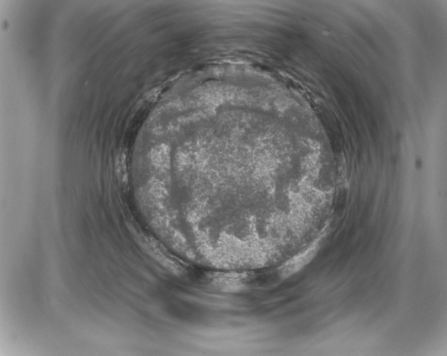 X0000085730182200704131628