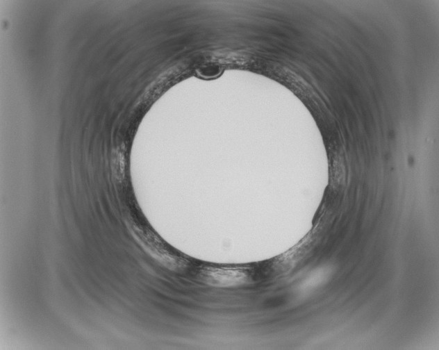 X0000085730183200704131628