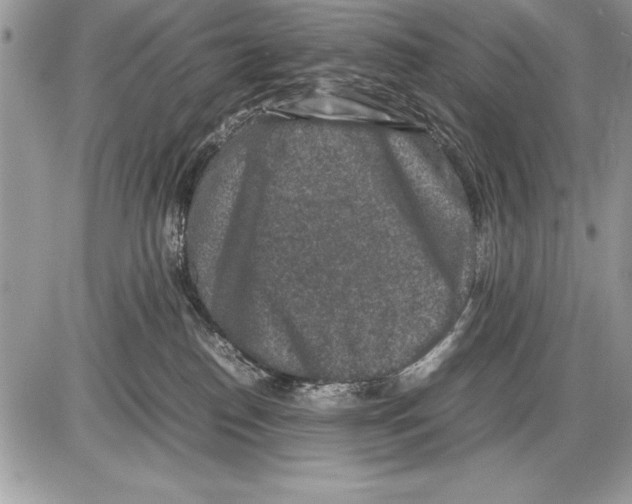 X0000085730186200704131628