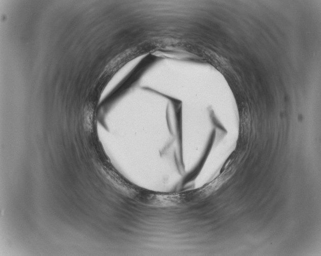 X0000085730188200704131628