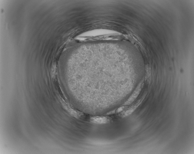 X0000085730189200704131629