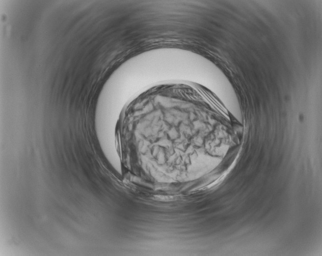 X0000085730190200704131629