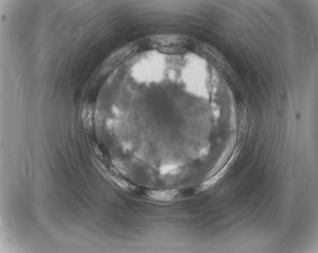 X0000085730191200704131629