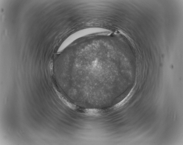 X0000085730192200704131629