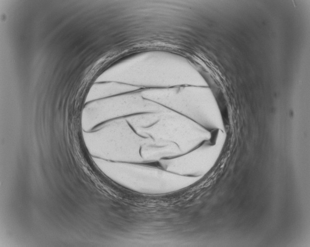 X0000085730193200704131628