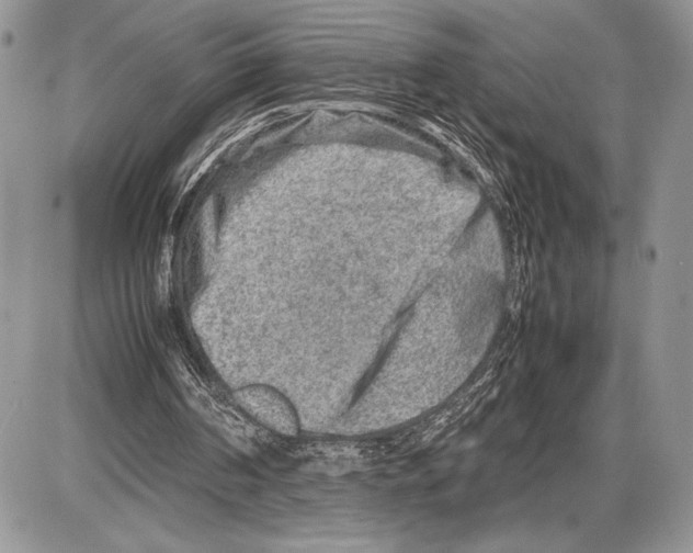 X0000085730194200704131628