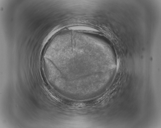 X0000085730195200704131628