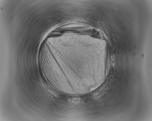 X0000085730196200704131628