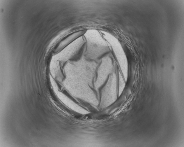 X0000085730197200704131628