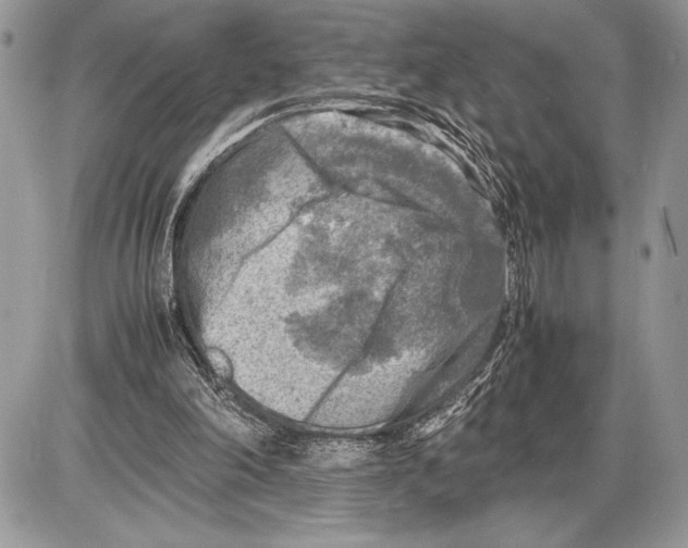 X0000085730198200704131628