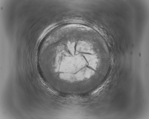 X0000085730199200704131628