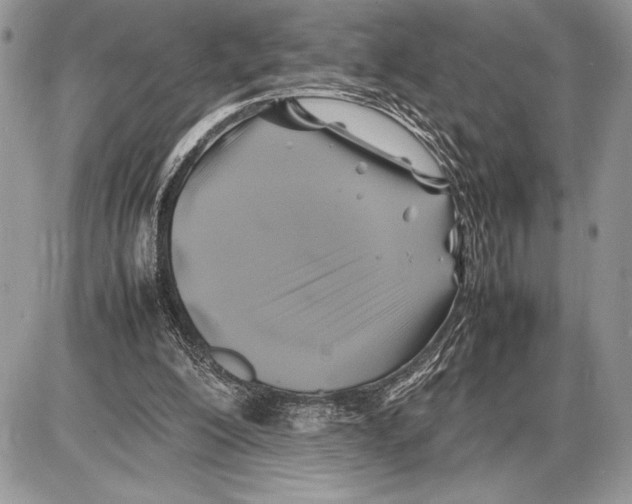 X0000085730200200704131628