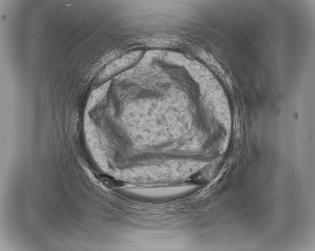 X0000085730201200704131628