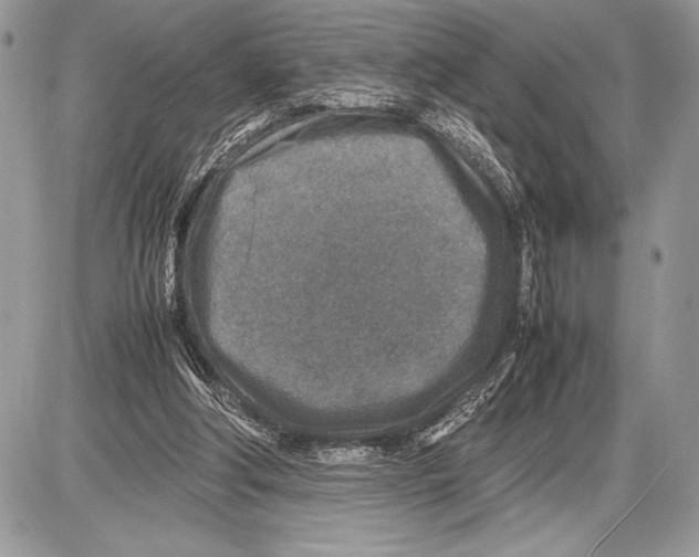 X0000085730202200704131628