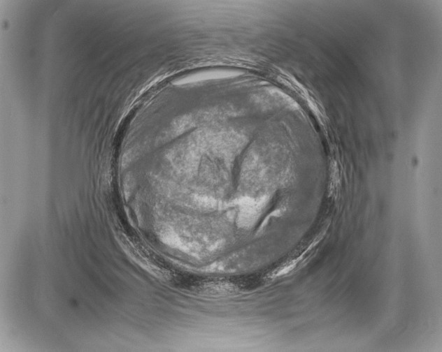 X0000085730203200704131628