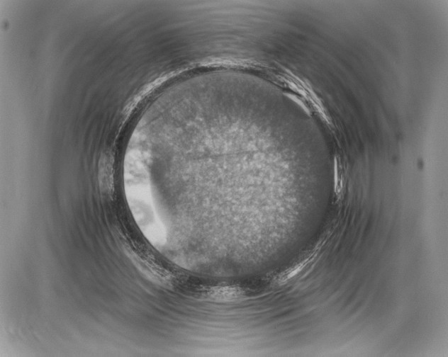 X0000085730204200704131628