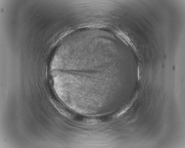 X0000085730205200704131628