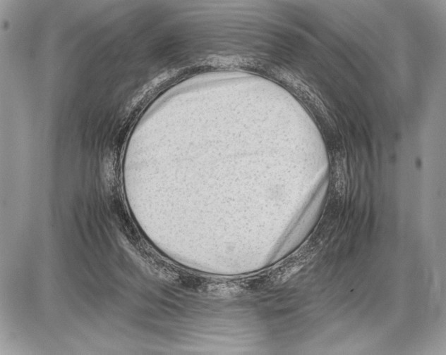 X0000085730208200704131628