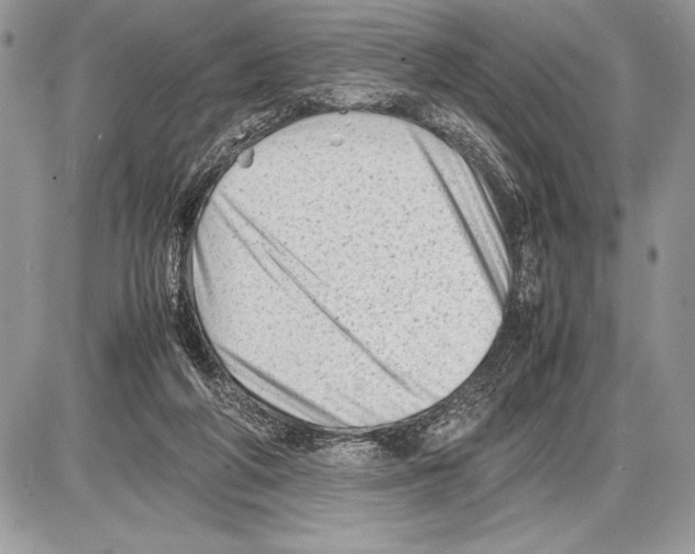 X0000085730210200704131627