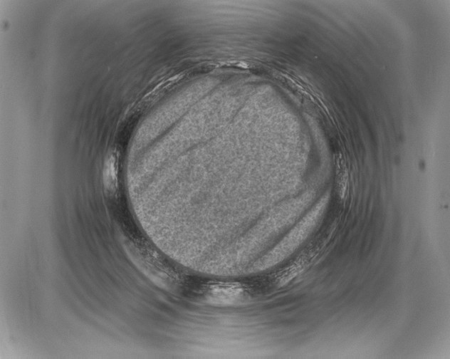 X0000085730214200704131627