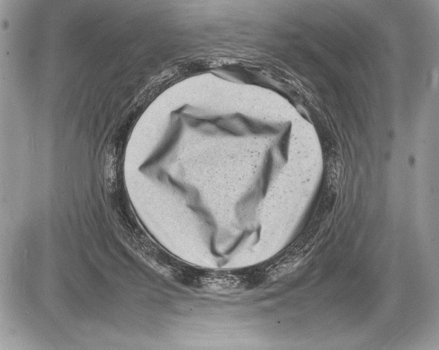 X0000085730215200704131627