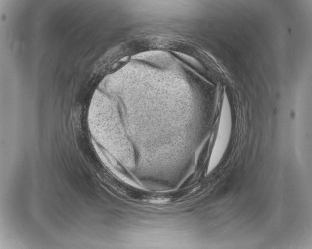 X0000085730217200704131627