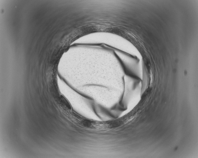 X0000085730221200704131627