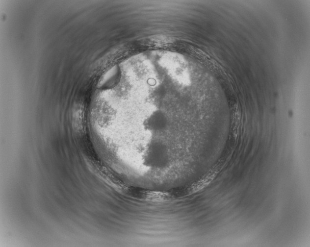 X0000085730222200704131627