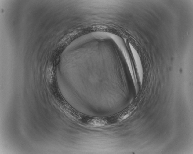 X0000085730223200704131627